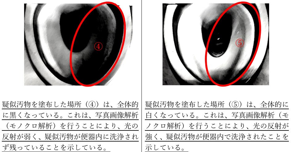toilet-cleaning-monochrome-image-analysis