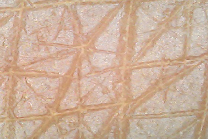 ファンデーションを塗布した肌（UFB洗浄後）